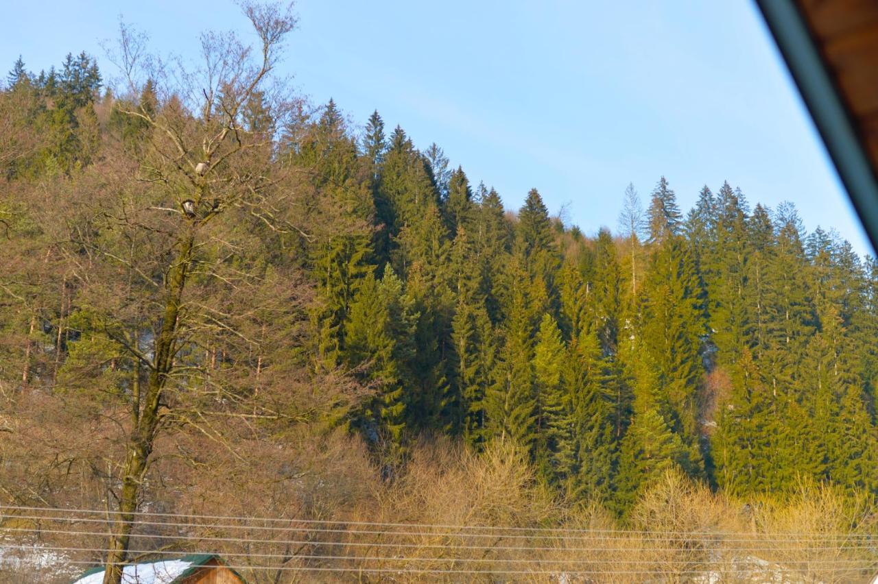 Садиба Between Mountains Mizhhirya  ภายนอก รูปภาพ