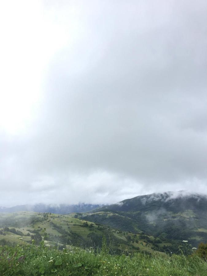 Садиба Between Mountains Mizhhirya  ภายนอก รูปภาพ