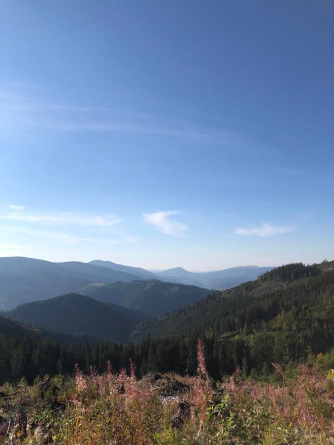 Садиба Between Mountains Mizhhirya  ภายนอก รูปภาพ