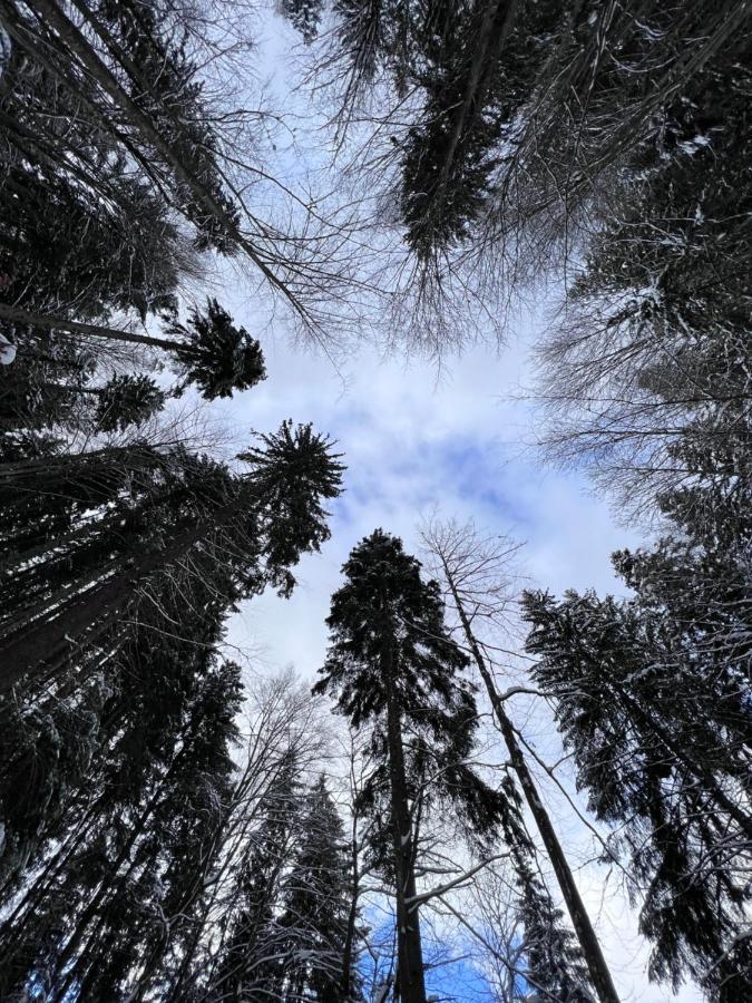 Садиба Between Mountains Mizhhirya  ภายนอก รูปภาพ