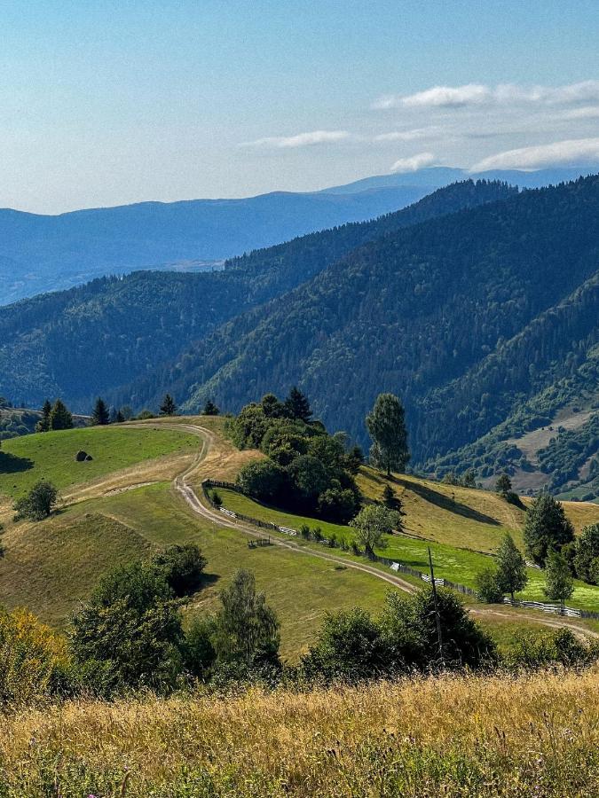 Садиба Between Mountains Mizhhirya  ภายนอก รูปภาพ