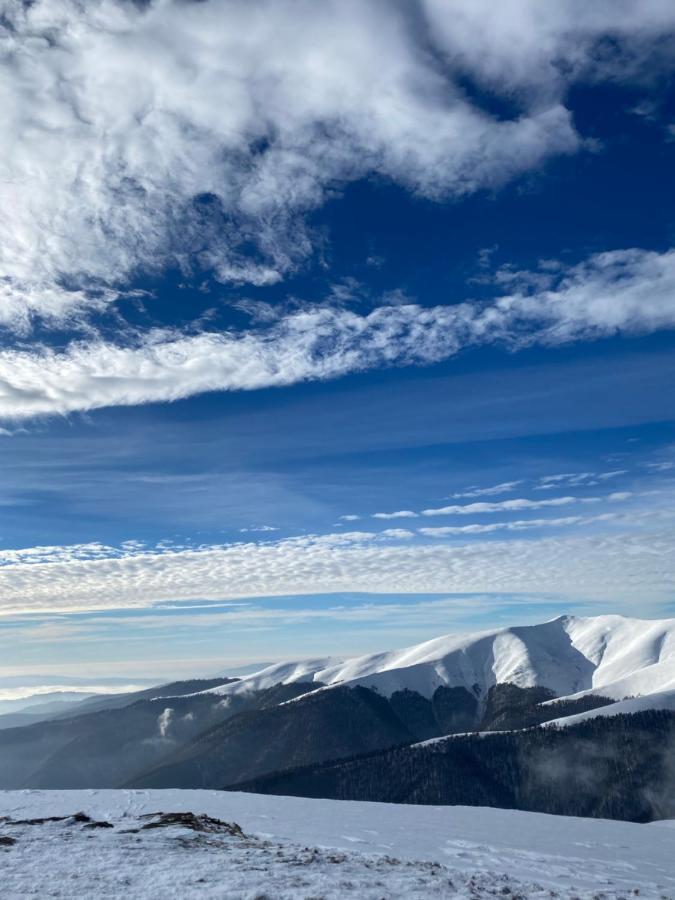 Садиба Between Mountains Mizhhirya  ภายนอก รูปภาพ