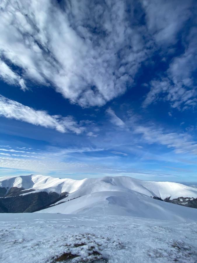 Садиба Between Mountains Mizhhirya  ภายนอก รูปภาพ